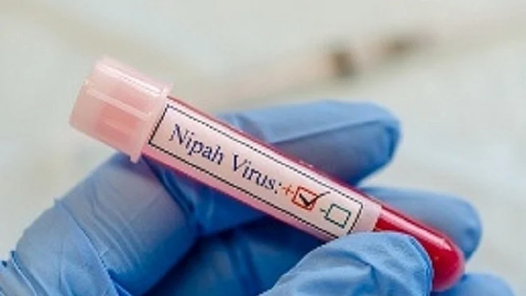 केरल के कोझिकोड में निपाह वायरस का आतंक खत्म