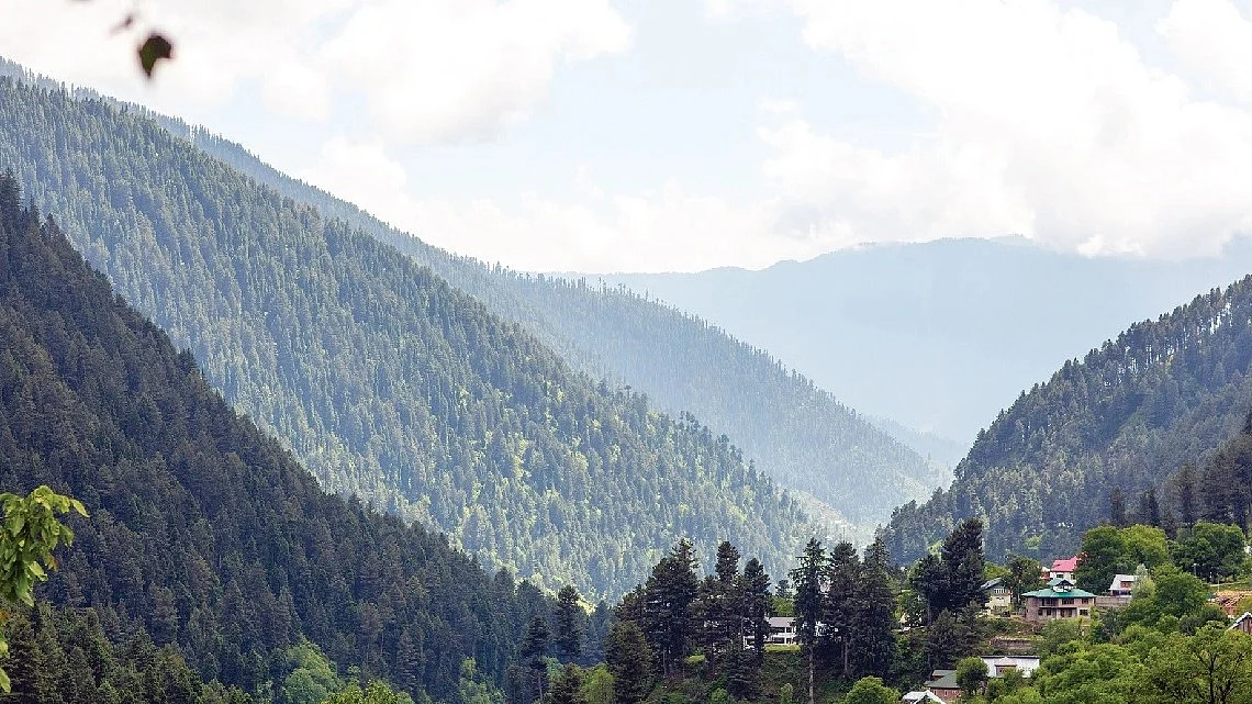 जंगल और जमीन पर इंसानी लालच का साया