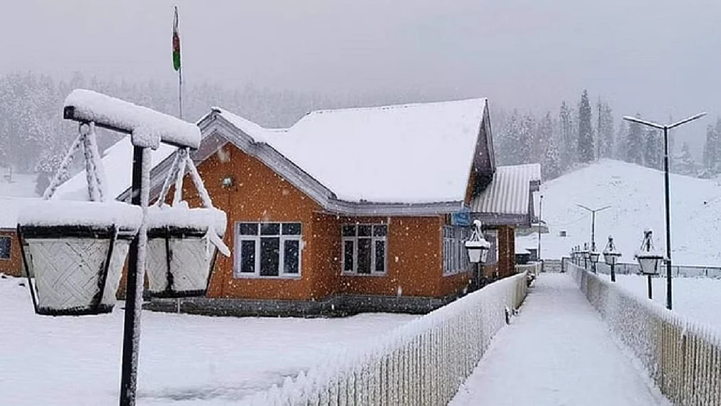 फोटो: सोशल मीडिया