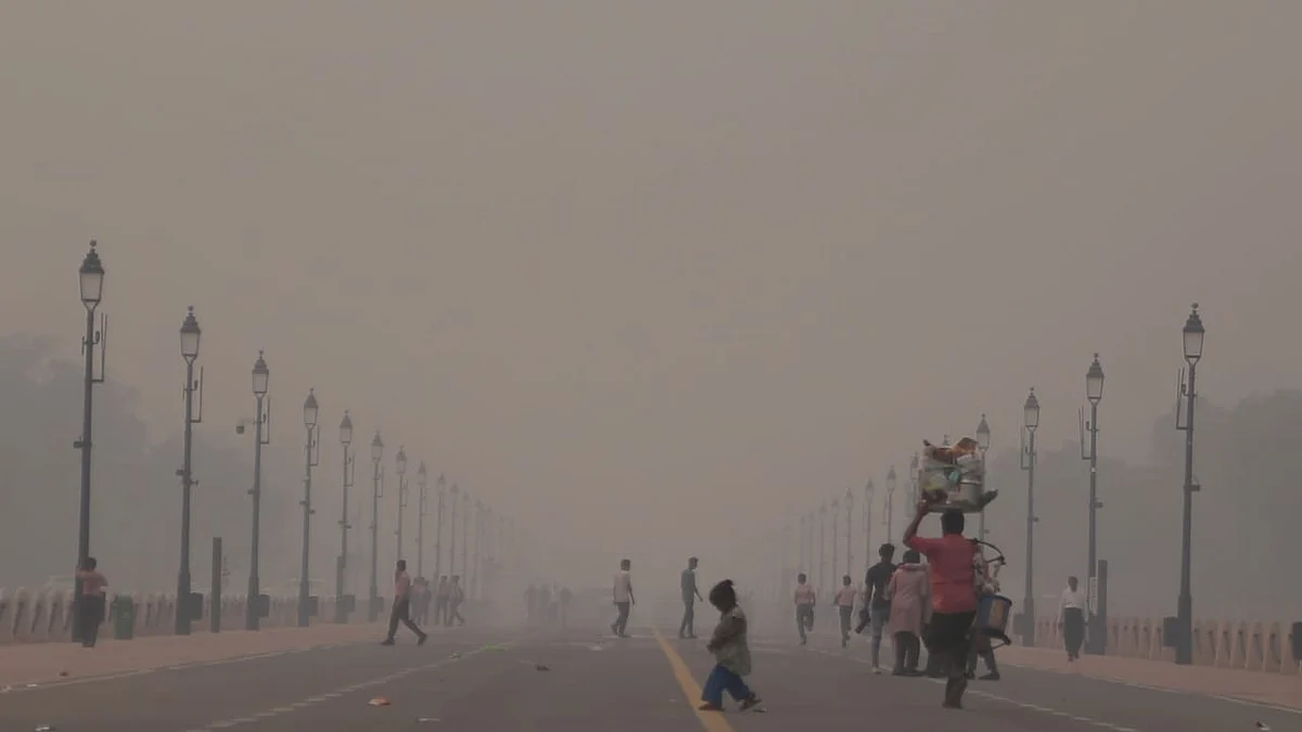 फोटो: विपिन