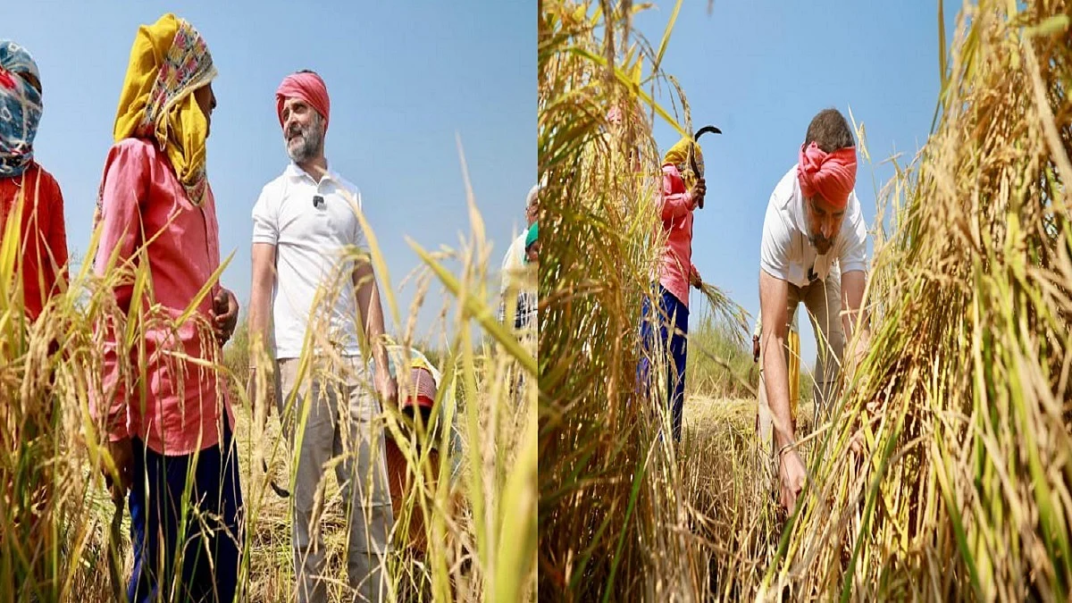 फोटो: @RahulGandhi