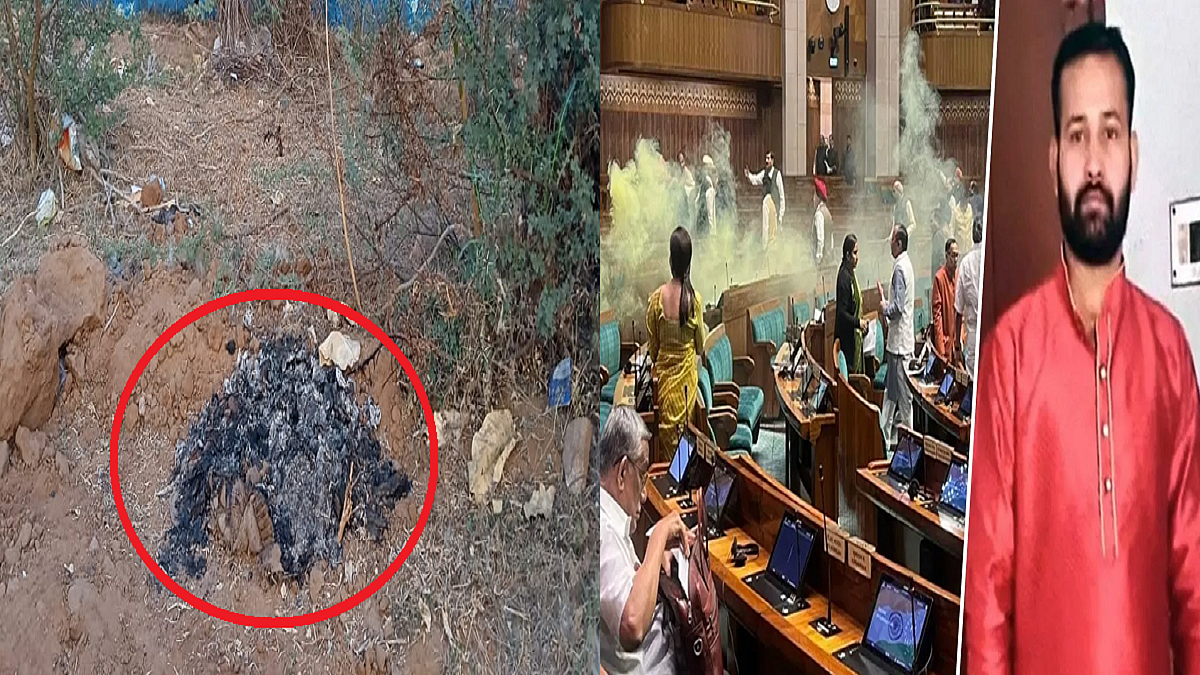 फोटो: सोशल मीडिया