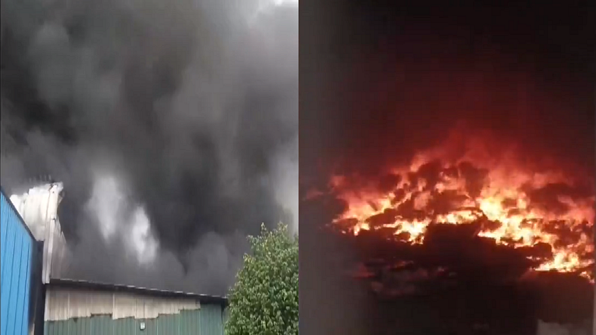 फोटो: सोशल मीडिया