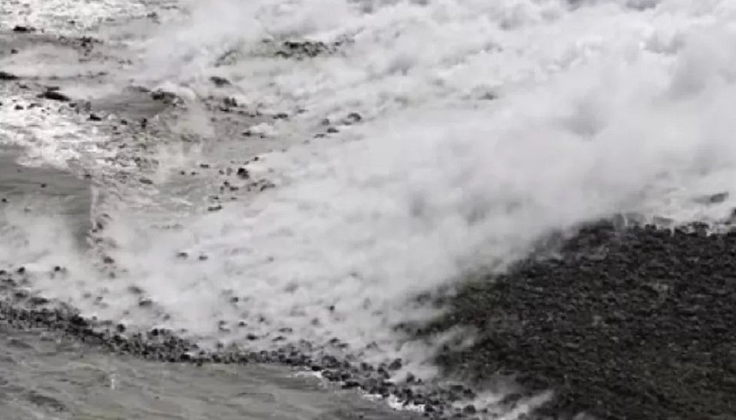 फोटो: सोशल मीडिया