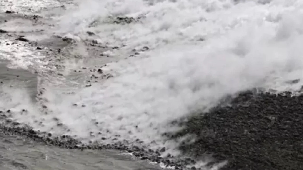 फोटो: सोशल मीडिया