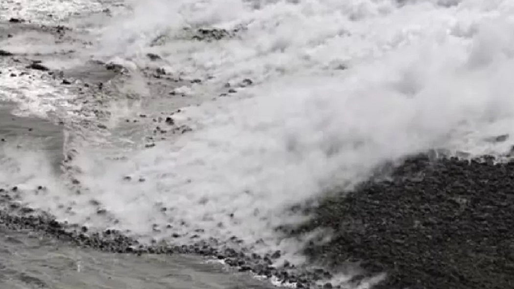 फोटो: सोशल मीडिया