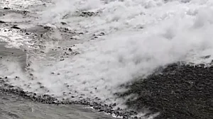 फोटो: सोशल मीडिया