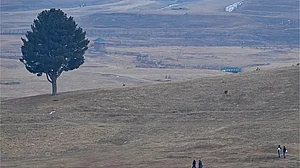 कश्मीर: 'चिल्लई कलां' खत्म होने में बस सात दिन बाकी, बर्फबारी की उम्मीदें धूमिल