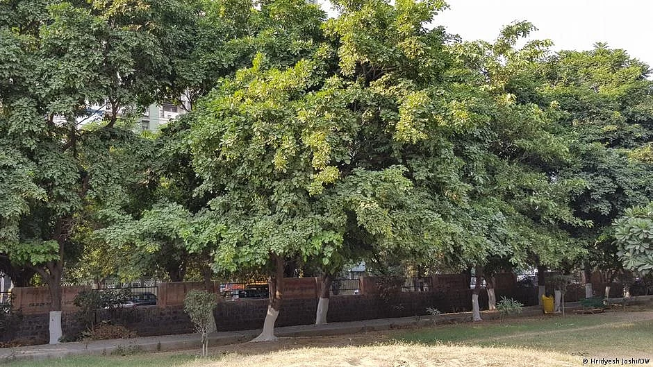 दिल्ली हाई कोर्ट ने जंगलों में अतिक्रमण को लेकर नाराजगी जताई, कहा- जंगल दिल्ली के "फेफड़े" हैं