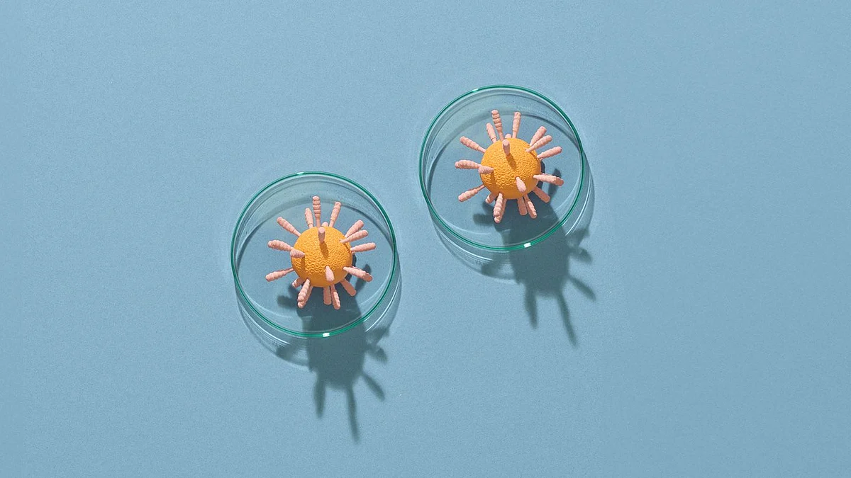  प्रतीकात्मक तस्वीर