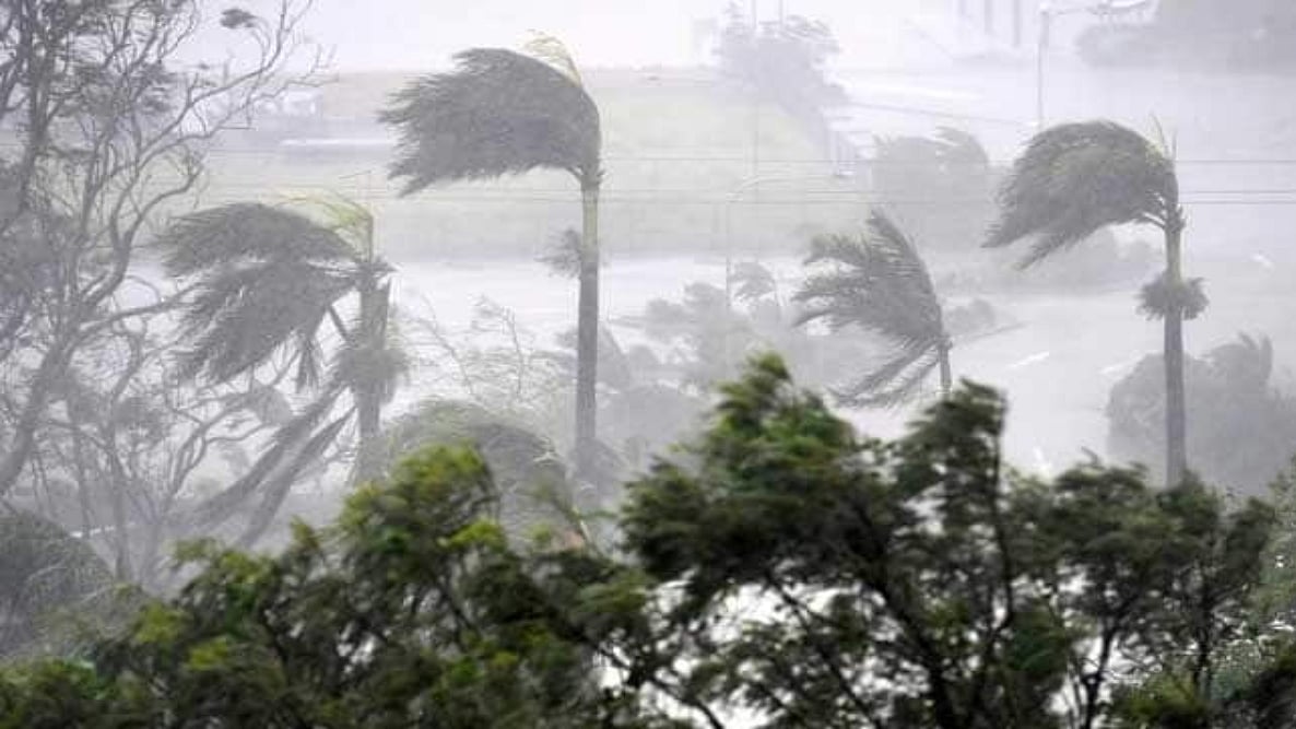 फोटोः सोशल मीडिया