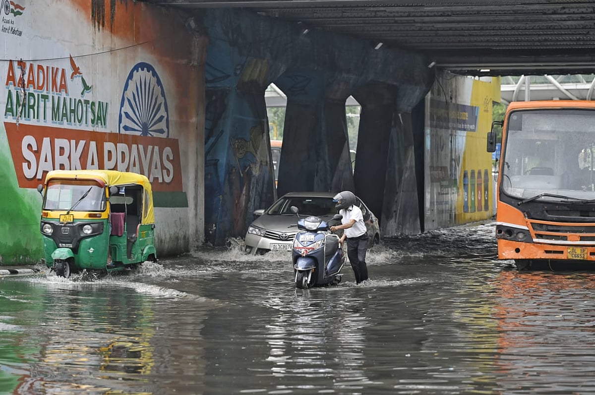 फोटो: विपिन