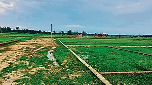 सूरत के निलंबित जिलाधिकारी भूमि घोटाले में शामिल, कांग्रेस ने किया था पर्दाफाश: पार्टी नेता का दावा