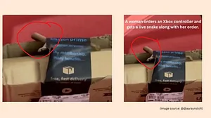 अमेजन से ऑर्डर किया सामान, डिलिवरी के बाद पैकेज खोला तो निकला कोबरा! कंपनी ने ये दिया जवाब