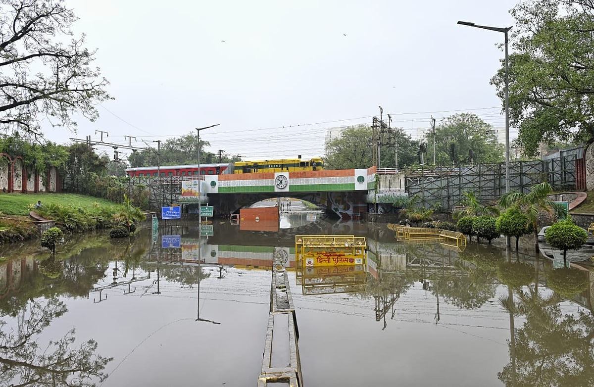 फोटो: विपिन