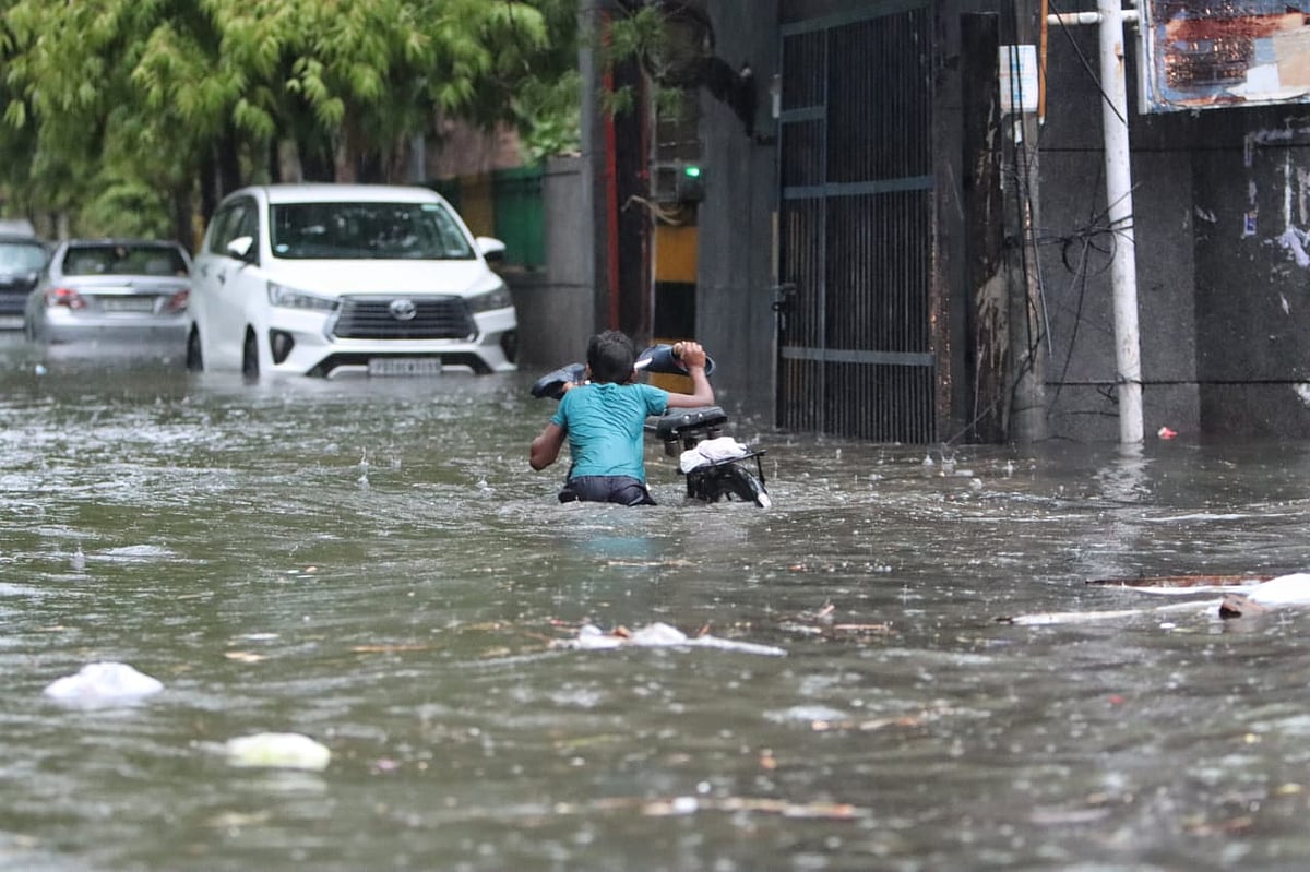 फोटो: विपिन