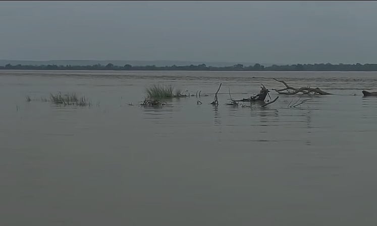 नेपाल से पानी छोड़े जाने से यूपी के महाराजगंज जिले में बाढ़ का खतरा, सैकड़ों एकड़ फसल जलमग्न