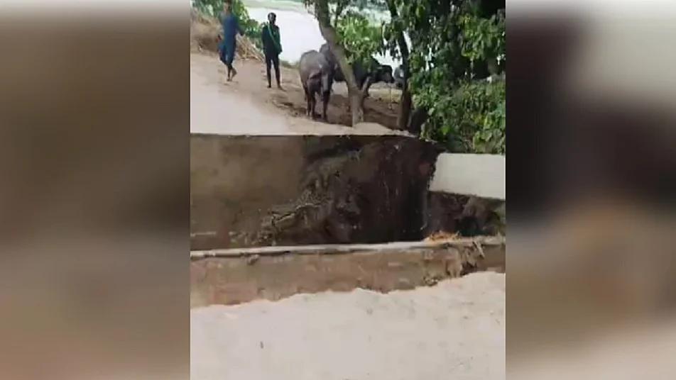 नीतीश सरकार में बना एक और पुल ध्वस्त, सहरसा के एनएच-17 पर बना पुल टूटकर कोसी में बहा