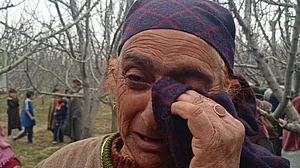 कश्मीर में रेल विस्तार बना सेब उत्पादकों के लिए विनाश, बागों की जमीन जाने पर छलका लोगों का दर्द