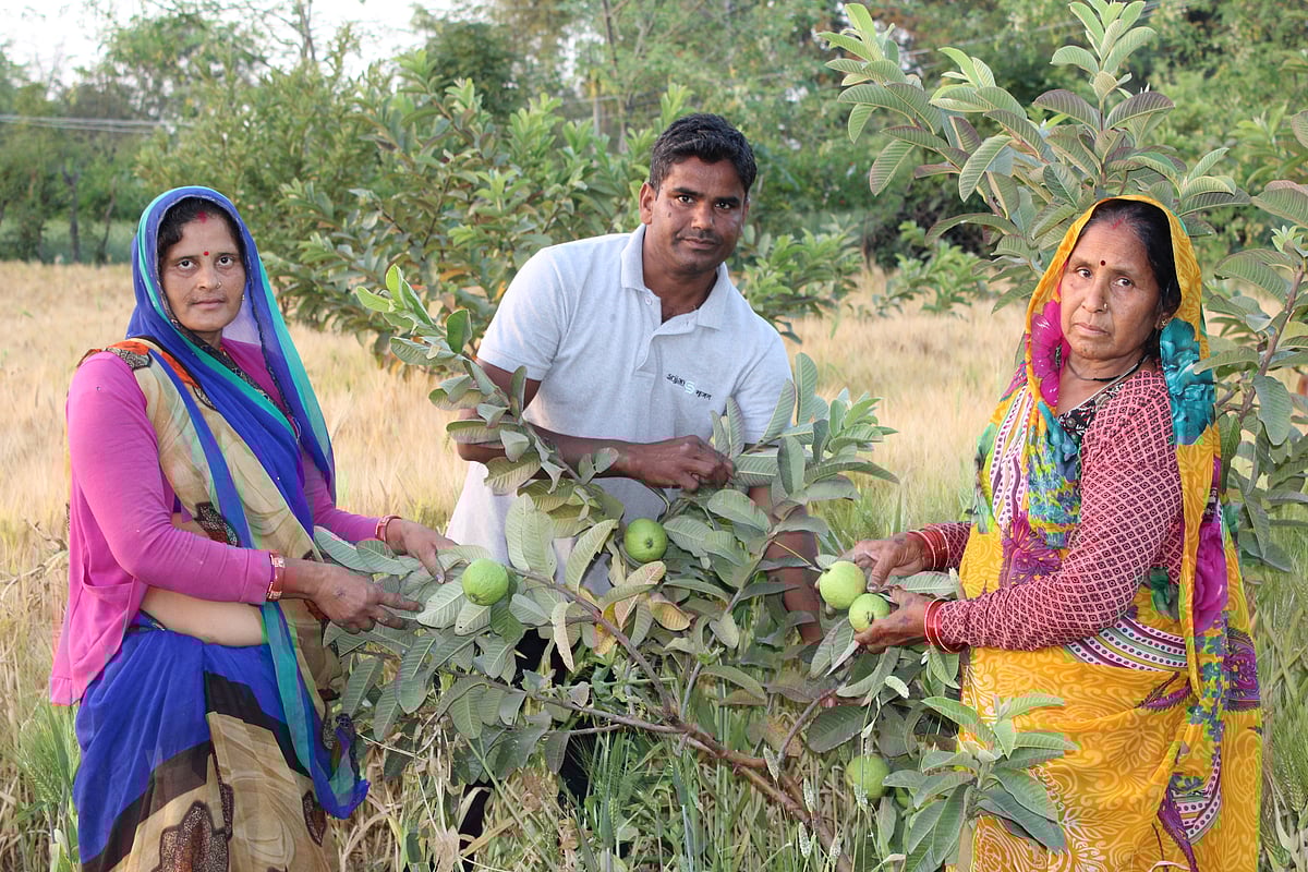 दलित किसान ने दिखाई राह: किसान संकट को दूर करने के लिए स्थानीय संसाधनों का किया बेहतर उपयोग