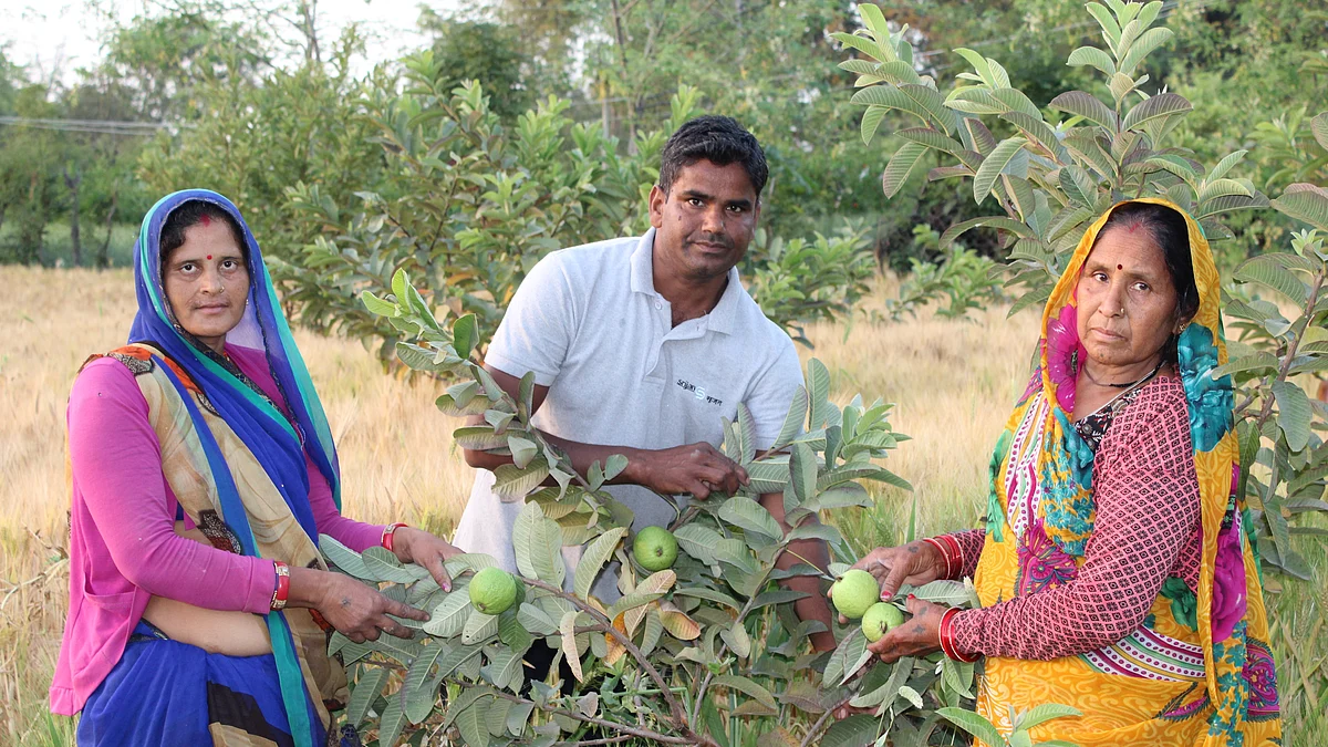 फोटो: भारत डोगरा