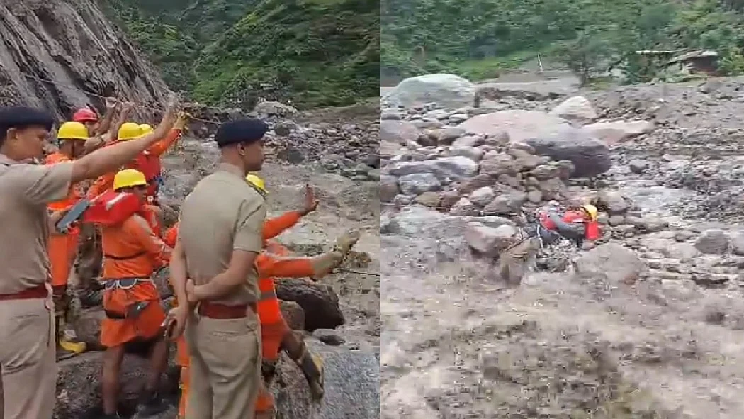 फोटो: सोशल मीडिया 