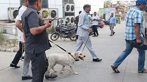 फोटोः प्रतीकात्मक तस्वीर