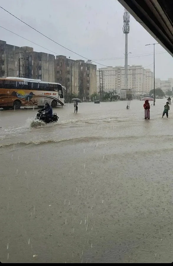 फोटो: सोशल मीडिया