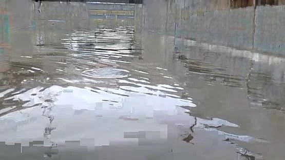 फोटो: सोशल मीडिया