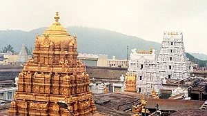 तिरुपति के प्रसाद में “गोमांस की चर्बी” होने का दावा, फिश ऑयल के सैंपल भी मिले