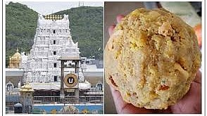 तिरुपति लड्डू विवाद: प्रसाद की पवित्रता के लिए शांति अनुष्ठान, वीएचपी की बैठक, सुप्रीम कोर्ट भी पहुंचा मामला