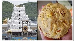 तिरुपति मंदिर के प्रसाद को लेकर शुरु हुआ विवाद अभी थमा नहीं है
