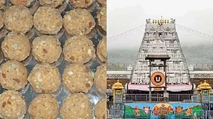 तिरुपति 'प्रसादम्' प्रकरण: लखनऊ के मंदिर में बाहर से लाया प्रसाद चढ़ाने पर पाबंदी, सूखे मेवे से भोग लगाने का आग्रह