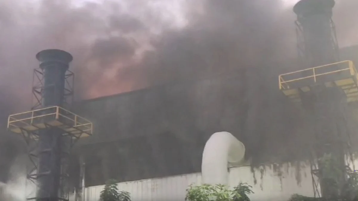 फोटो: सोशल मीडिया