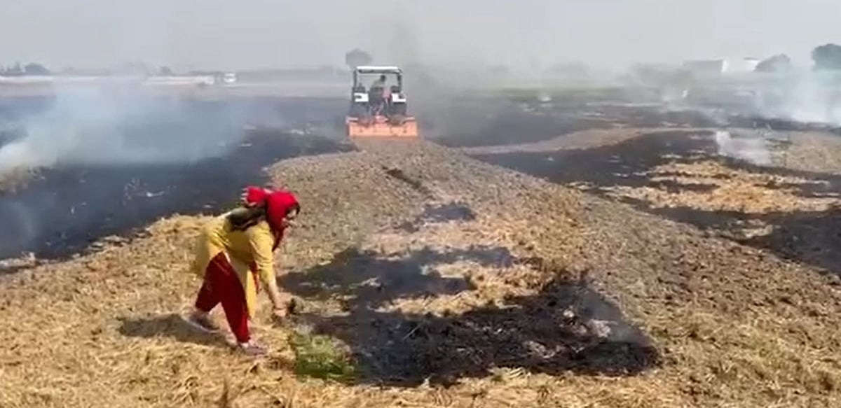 हरियाणा के पलवल में पराली जलाने वालों पर सख्त कार्रवाई, अब तक 19 किसानों के खिलाफ मुकदमा