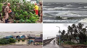चक्रवाती तूफान 'दाना' ओडिशा के धामरा में टकराया, आंधी के साथ हो रही मूसलाधार बारिश, कई जगहों पर गिरे पेड़