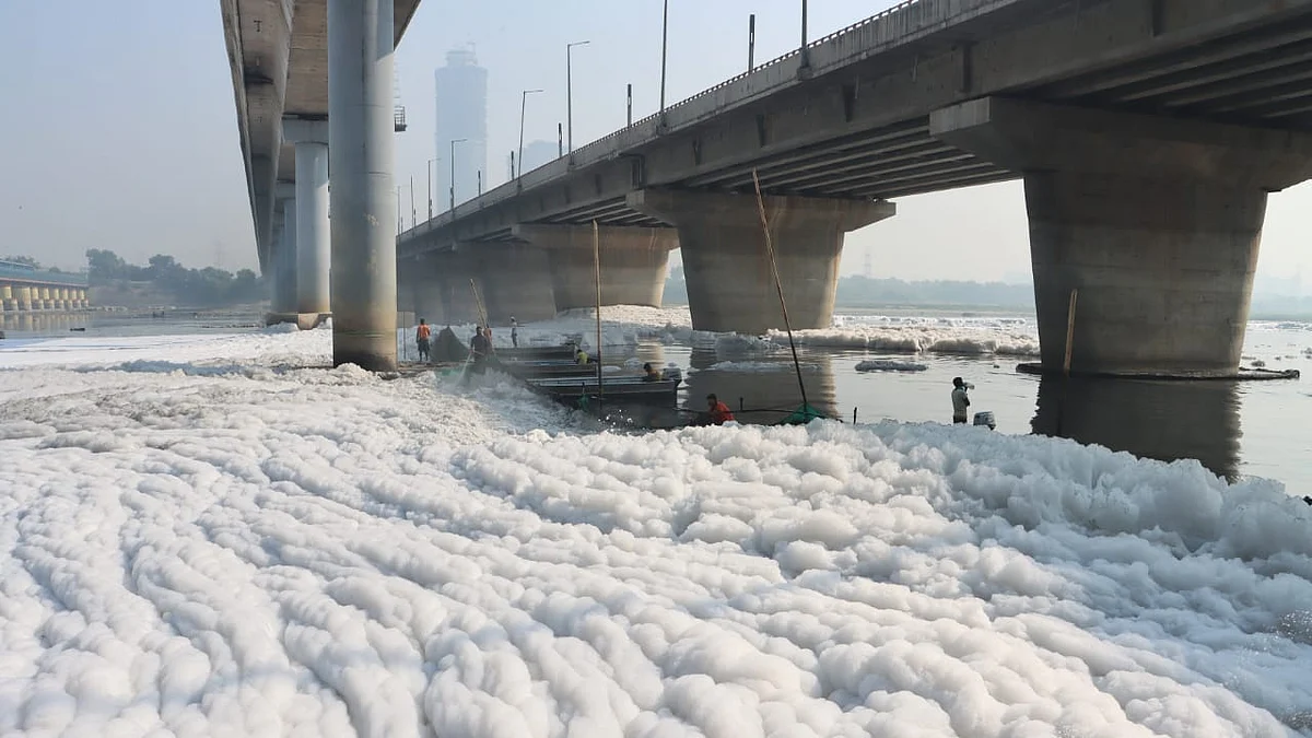 फोटो: विपिन