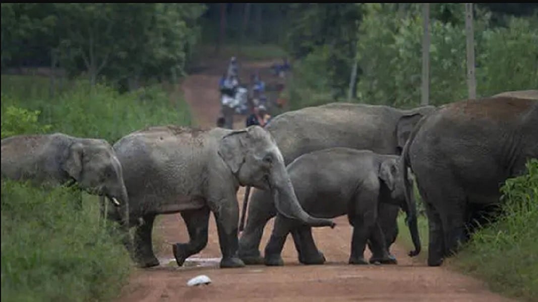 फाइल फोटोः सोशल मीडिया