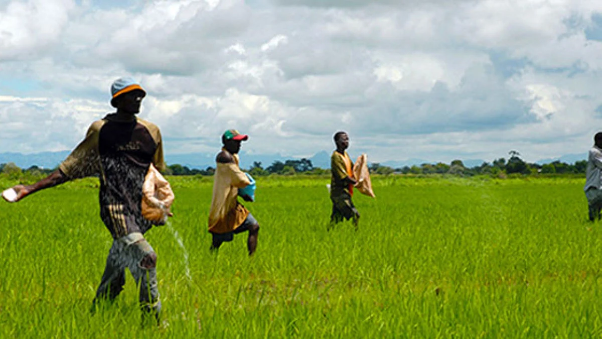 फोटोः सोशल मीडिया