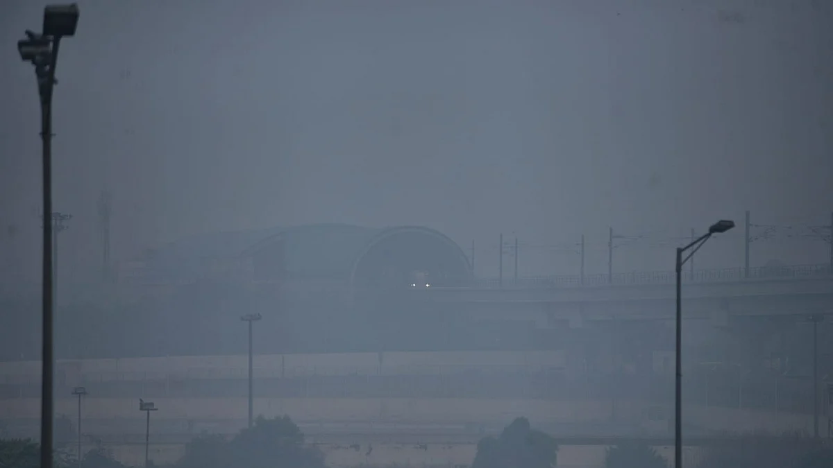 फोटो: विपिन