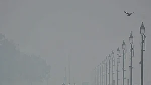 फोटो: विपिन