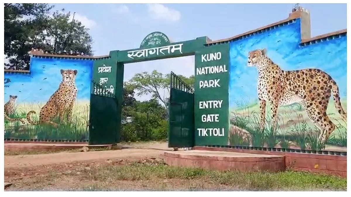 फोटो: सोशल मीडिया