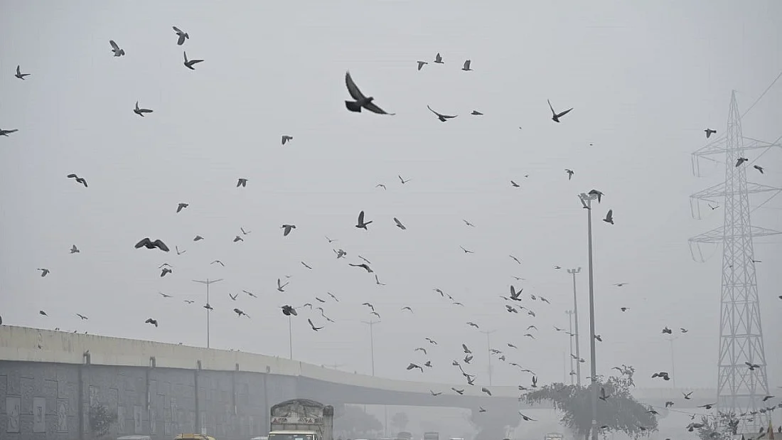 फोटोः विपिन