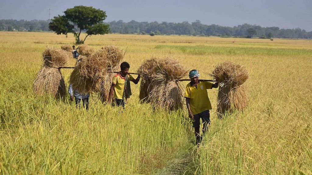 सांकेतिक फोटो (Getty Images)