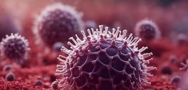 कोरोना वायरस और HMPV में कितना है फर्क? जानिए क्या कहते हैं डॉक्टर