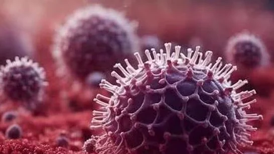 कोरोना वायरस और HMPV में कितना है फर्क?