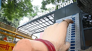 दिल्ली चुनाव: बुराड़ी विधानसभा में पूर्वांचल के लोगों के वोट का है प्रभाव, हार-जीत के समीकरण में निभाते अहम भूमिका