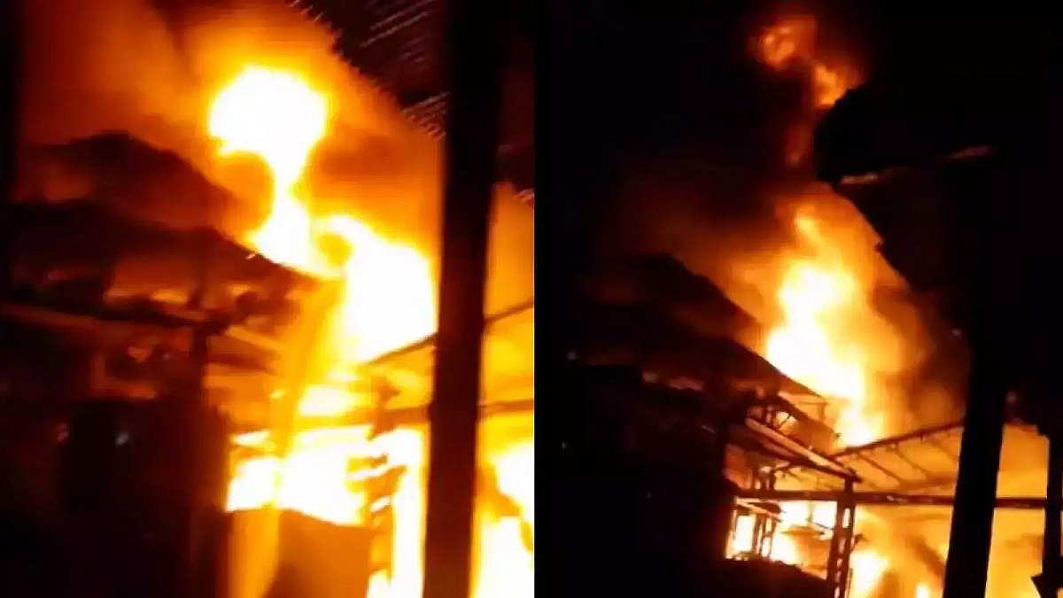 फोटो: सोशल मीडिया