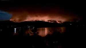 लॉस एंजिल्स के जंगल में लगी आग में 27 लोगों की मौत, अब तक 22 प्रतिशत ही काबू पाया जा सका