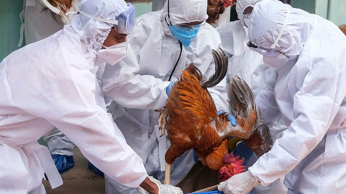 फोटो: सोशल मीडिया